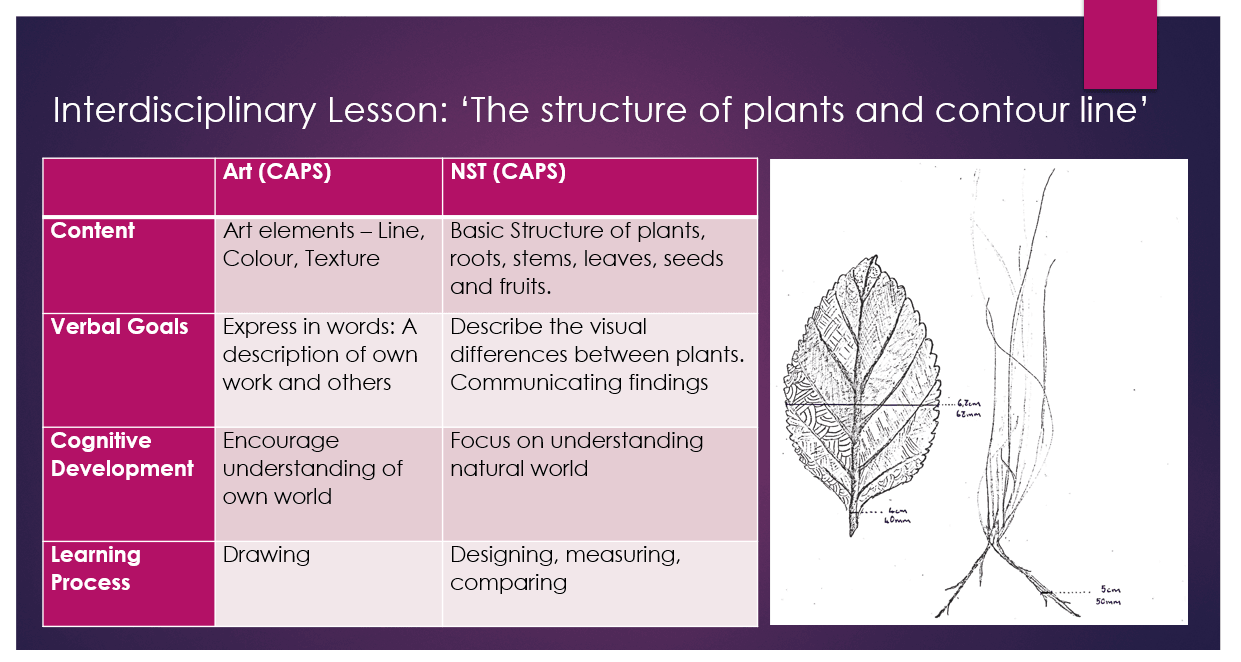 Interdisciplinary lesson: the structure of plants and contour line