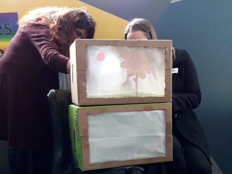 Participants with light-boxes